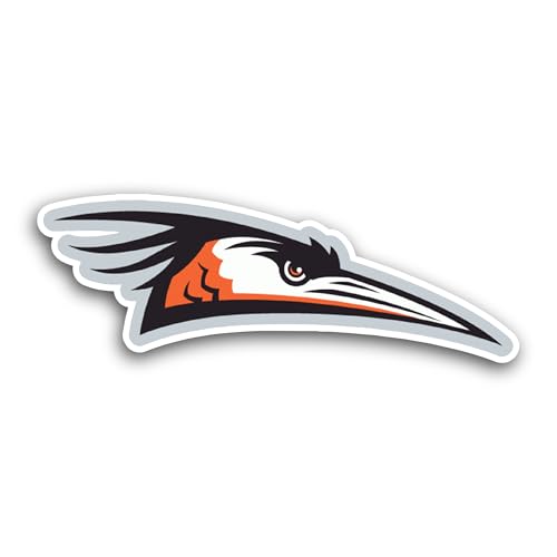 2 (Pieces) 3" and 5" Delmarva Sh0rebirds Sticker, Waterproof Vinyl Decals for Many Purpose Like Cars