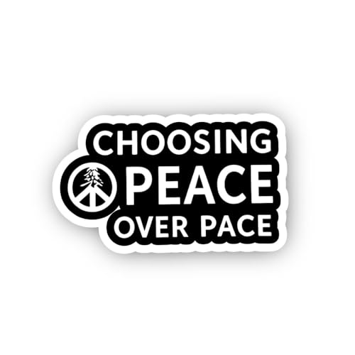 2 (Pieces) 3" and 5" SIT with Night Sticker, Waterproof Vinyl Decals for Many Purpose Like Cars, Tru