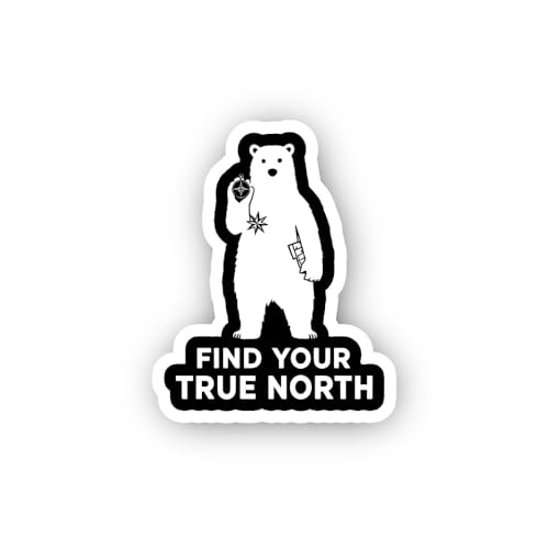 2 (Pieces) 3" and 5" RAW Charge Noise & Fury Sticker, Waterproof Vinyl Decals for Many Purpose Like 