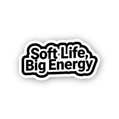 2 (Pieces) 3" and 5" Stay F@CUSED Sticker, Waterproof Vinyl Decals for Many Purpose Like Cars, Truck