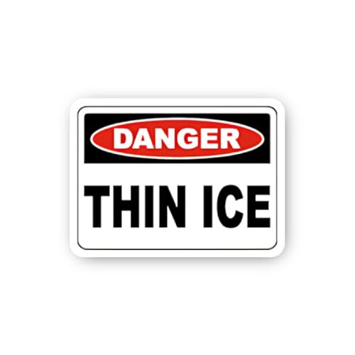2 (Pieces) 3" and 5" Yes I'm Single and Perfect This Way Sticker, Waterproof Vinyl Decals for Many P
