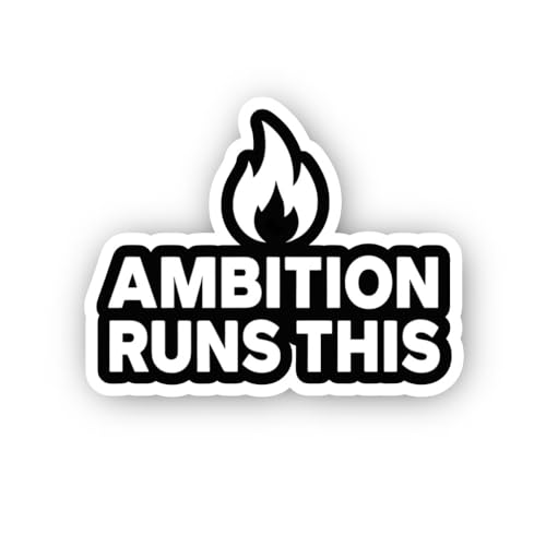 2 (Pieces) 3" and 5" You DID IT! Sticker, Waterproof Vinyl Decals for Many Purpose Like Cars, Trucks
