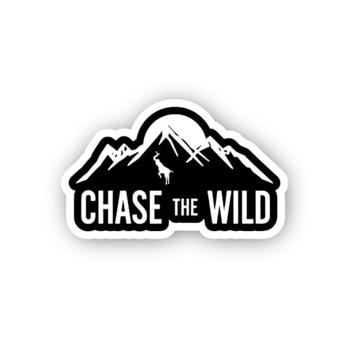 2 (Pieces) 3" and 5" Way to Go Rocket Sticker, Waterproof Vinyl Decals for Many Purpose Like Cars, T