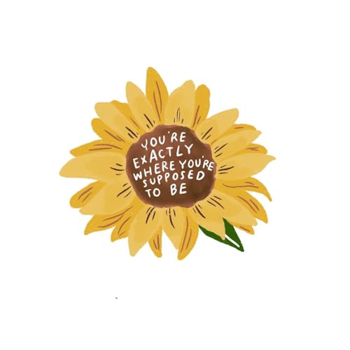2 (Pieces) 3" and 5" Stickers n Decals Sending You Sunshine - Motivational Sticker Vinyl Decal Stick