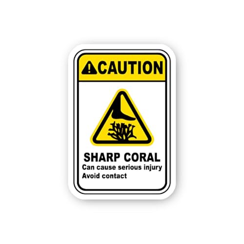 2 (Pieces) 3" and 5" Funny How? Sticker, Waterproof Vinyl Decals for Many Purpose Like Cars, Trucks,