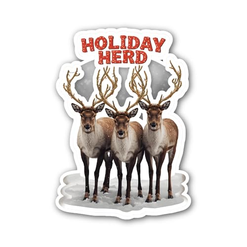 2 (Pieces) 3" and 5" Merry Everything Star Text Sticker, Waterproof Vinyl Decals for Many Purpose Li