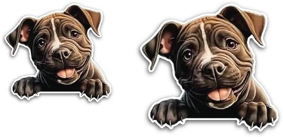 2 (Pieces) 3" and 5" Brown Dog Staring at me Decal Sticker, Waterproof Vinyl Decals for Many Purpose Like Cars, Trucks, Laptops, Phones, Windows and More