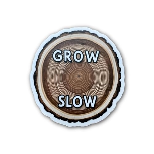 Disappear Where Your existence is not Valued Message Sticker - 5" Vinyl Sticker Waterproof