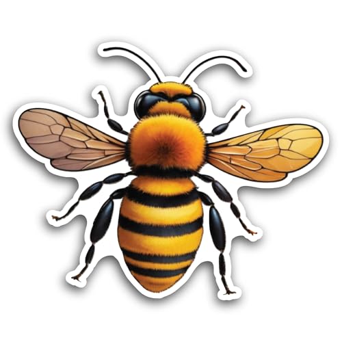 2 (Pieces) 3" and 5" Close Up of A Bee Sticker, Waterproof Vinyl Decals for Many Purpose Like Cars, 