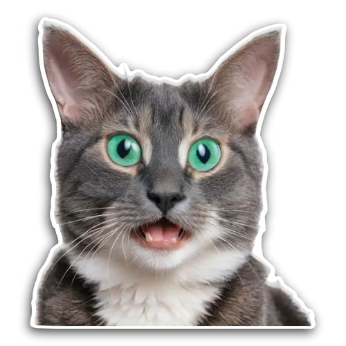 2 (Pieces) 3" and 5" Funny Cat Sticker, Waterproof Vinyl Decals for Many Purpose Like Cars, Trucks, 