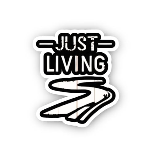 2 (Pieces) 3" and 5" Believe in You & Shine Star Sticker, Waterproof Vinyl Decals for Many Purpose L