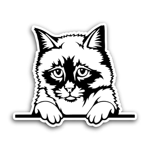 2 (Pieces) 3" and 5" Cute Cat Sticker, Waterproof Vinyl Decals for Many Purpose Like Cars, Trucks, L