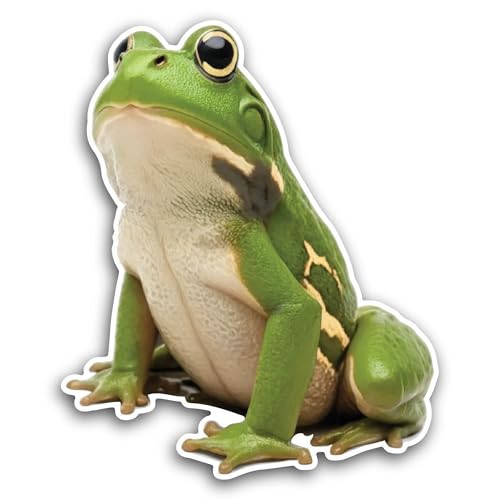 2 (Pieces) 3" and 5" A Cute Cartoon Frog Sticker, Waterproof Vinyl Decals for Many Purpose Like Cars