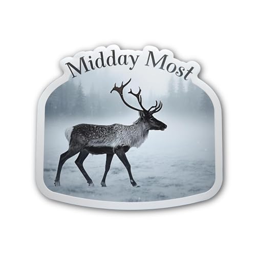 2 (Pieces) 3" and 5" Frost Co Snowflake Sticker, Waterproof Vinyl Decals for Many Purpose Like Cars,
