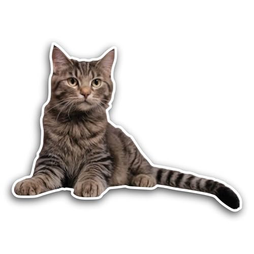 2 (Pieces) 3" and 5" Domestic Cute Cat Sticker, Waterproof Vinyl Decals for Many Purpose Like Cars, 
