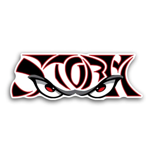 2 (Pieces) 3" and 5" Lake Elsin0re Logo Sticker, Waterproof Vinyl Decals for Many Purpose Like Cars,