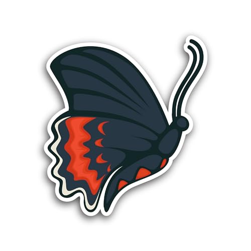 2 (Pieces) 3" and 5" Butterfly Design Sticker, Waterproof Vinyl Decals for Many Purpose Like Cars, T