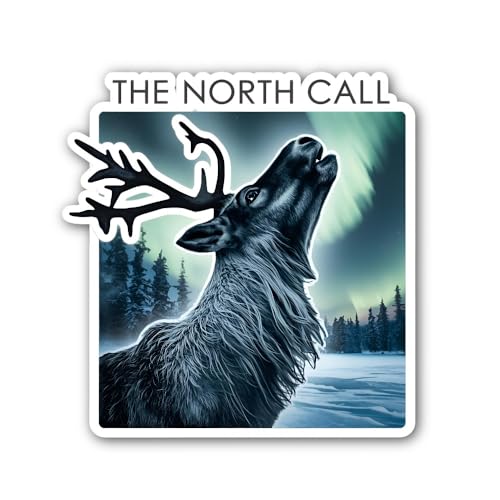 2 (Pieces) 3" and 5" Pine and Star Winter Wreath Sticker, Waterproof Vinyl Decals for Many Purpose L