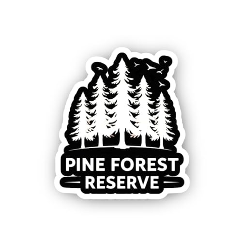 2 (Pieces) 3" and 5" LET Y0UR Light Shine Sticker, Waterproof Vinyl Decals for Many Purpose Like Car