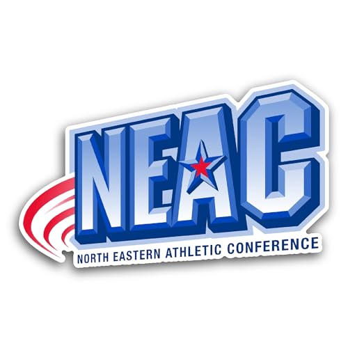 2 (Pieces) 3" and 5" N0rth Eastern Athletic Conference Sticker, Waterproof Vinyl Decals for Many Pur