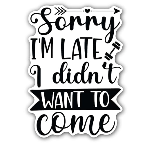 Choose to say I'm Doing The Best I can and That is Enough Message Sticker - 5" Vinyl Sticker Waterpr