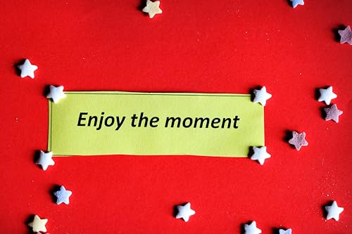 Inspirational Quote Another Fine Day Ruined by Adulthood Motivational Sticker Vinyl Decal Motivation