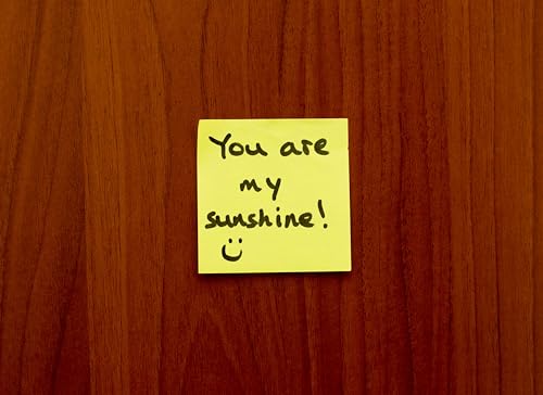2 (Pieces) 3" and 5" Stickers n Decals I'm Silently Correcting Grammar - Motivational Sticker Vinyl 