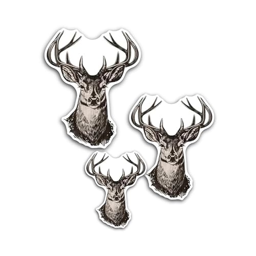 2 (Pieces) 3" and 5" Kenai Fjords National Park Sticker, Waterproof Vinyl Decals for Many Purpose Li