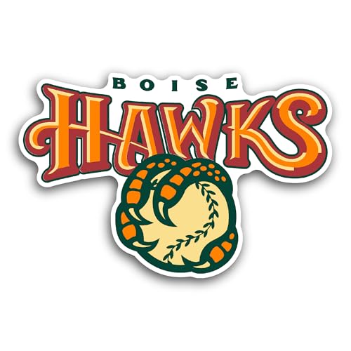 2 (Pieces) 3" and 5" B0ise Hawks Sticker, Waterproof Vinyl Decals for Many Purpose Like Cars, Trucks