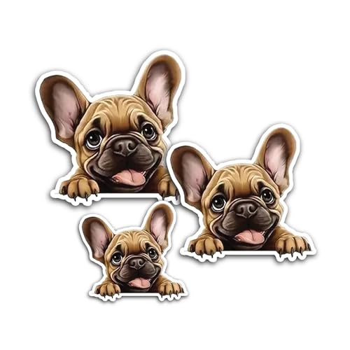 2 (Pieces) 3" and 5" Bomb Angry Face Sticker, Waterproof Vinyl Decals for Many Purpose Like Cars, Tr