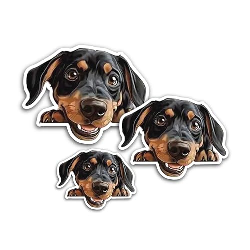 2 (Pieces) 3" and 5" Bye Bye Nice Try Sticker, Waterproof Vinyl Decals for Many Purpose Like Cars, T