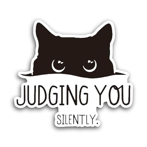 2 (Pieces) 3" and 5" Judging You Sticker, Waterproof Vinyl Decals for Many Purpose Like Cars, Trucks