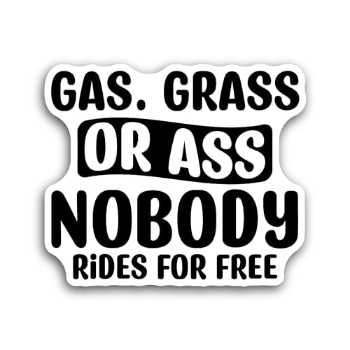 2 (Pieces) 3" and 5" Nobody Rides Text Sticker, Waterproof Vinyl Decals for Many Purpose Like Cars, 