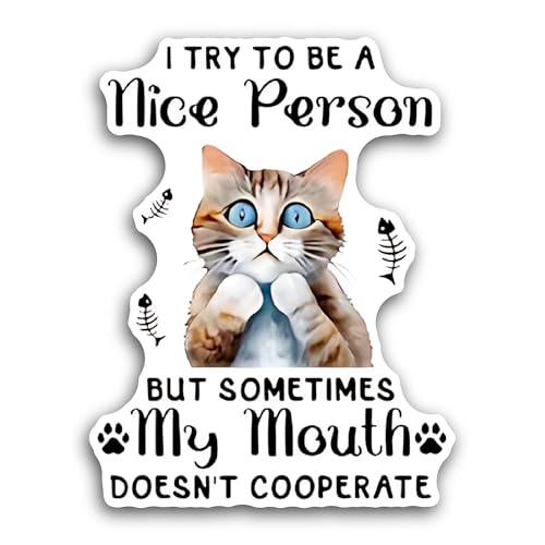2 (Pieces) 3" and 5" I Try to Be A Nice Person Sticker, Waterproof Vinyl Decals for Many Purpose Lik