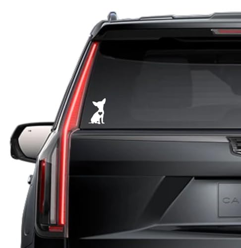2 (Pieces) 3" and 5" Spirit of The North Sticker, Waterproof Vinyl Decals for Many Purpose Like Cars