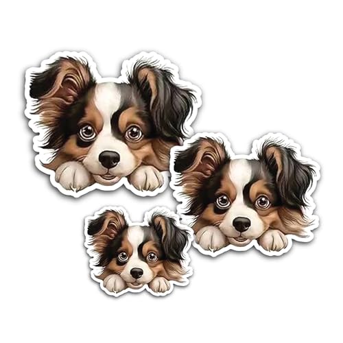 2 (Pieces) 3" and 5" Flatulence Sticker, Waterproof Vinyl Decals for Many Purpose Like Cars, Trucks,
