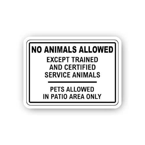 2 (Pieces) 3" and 5" No Pain No Gain Sticker, Waterproof Vinyl Decals for Many Purpose Like Cars, Tr