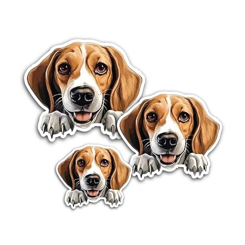 2 (Pieces) 3" and 5" You Just Got Passed Sticker, Waterproof Vinyl Decals for Many Purpose Like Cars
