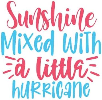 Inspirational Quote Sunshine Mixed with a Little Hurricane Motivational Sticker Vinyl Decal Motivation Stickers- 5" Vinyl Sticker Waterproof