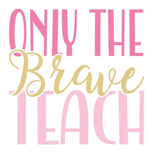 Inspirational Quote Cat in The Box Motivational Sticker Vinyl Decal Motivation Stickers- Choose in 3
