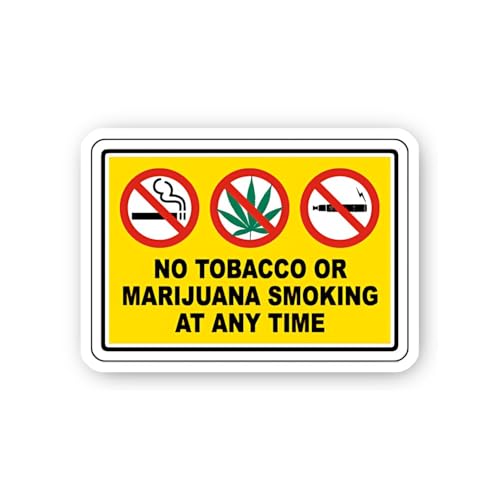 2 (Pieces) 3" and 5" It's Not A Hangover Sticker, Waterproof Vinyl Decals for Many Purpose Like Cars