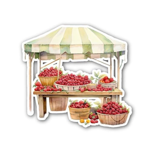 If I Cant Change Yesterday and I Cant Touch Tomorrow Sticker - 5" Vinyl Sticker Waterproof Vinyl Dec