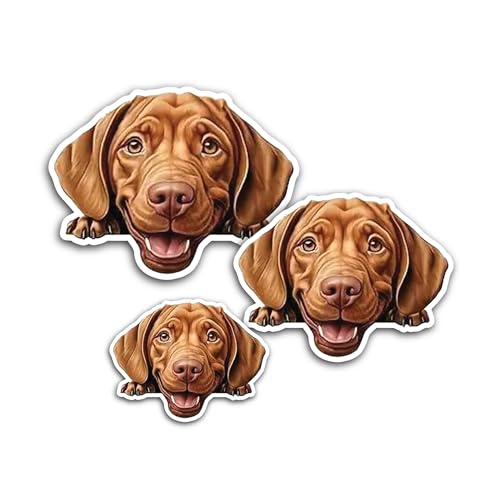 2 (Pieces) 3" and 5" Beater Sticker, Waterproof Vinyl Decals for Many Purpose Like Cars, Trucks, Lap