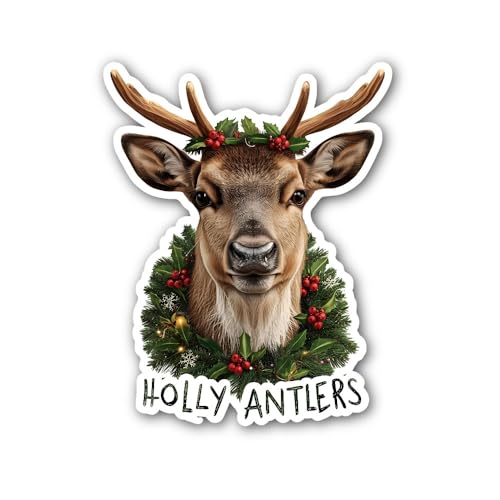 2 (Pieces) 3" and 5" Festive Peace and Wonder Sticker, Waterproof Vinyl Decals for Many Purpose Like