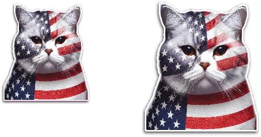 2 (Pieces) 3" and 5" Cat Staring at me with USA Flag Colour Decal Sticker, Waterproof Vinyl Decals for Many Purpose Like Cars, Trucks, Laptops, Phones, Windows and More
