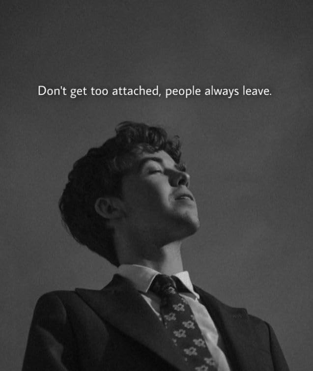 2 (Pieces) 3" and 5" Stickers n Decals Seashell - Motivational Sticker Vinyl Decal Sticker, Waterpro