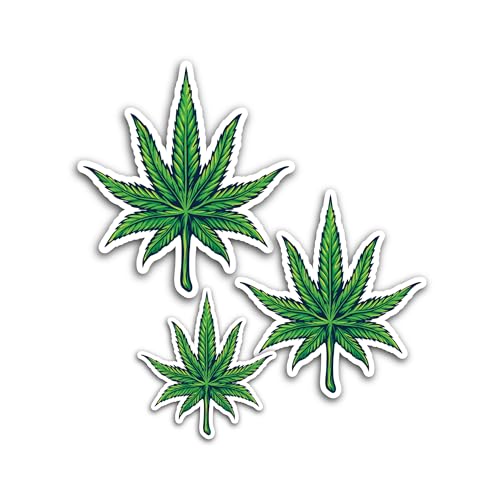 2 (Pieces) 3" and 5" Eat, Sleep Sticker, Waterproof Vinyl Decals for Many Purpose Like Cars, Trucks,