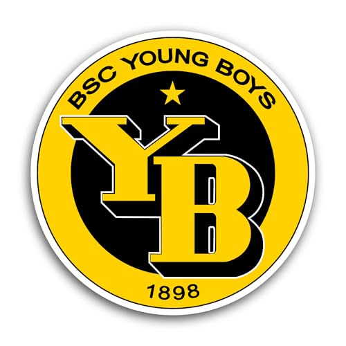2 (Pieces) 3" and 5" BSC Y0ung B0ys Sticker, Waterproof Vinyl Decals for Many Purpose Like Cars, Tru