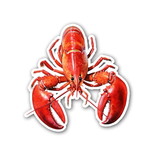 There are Many Things Out of Our Control and That’s Okay - 5" Vinyl Sticker Waterproof Vinyl Decals 