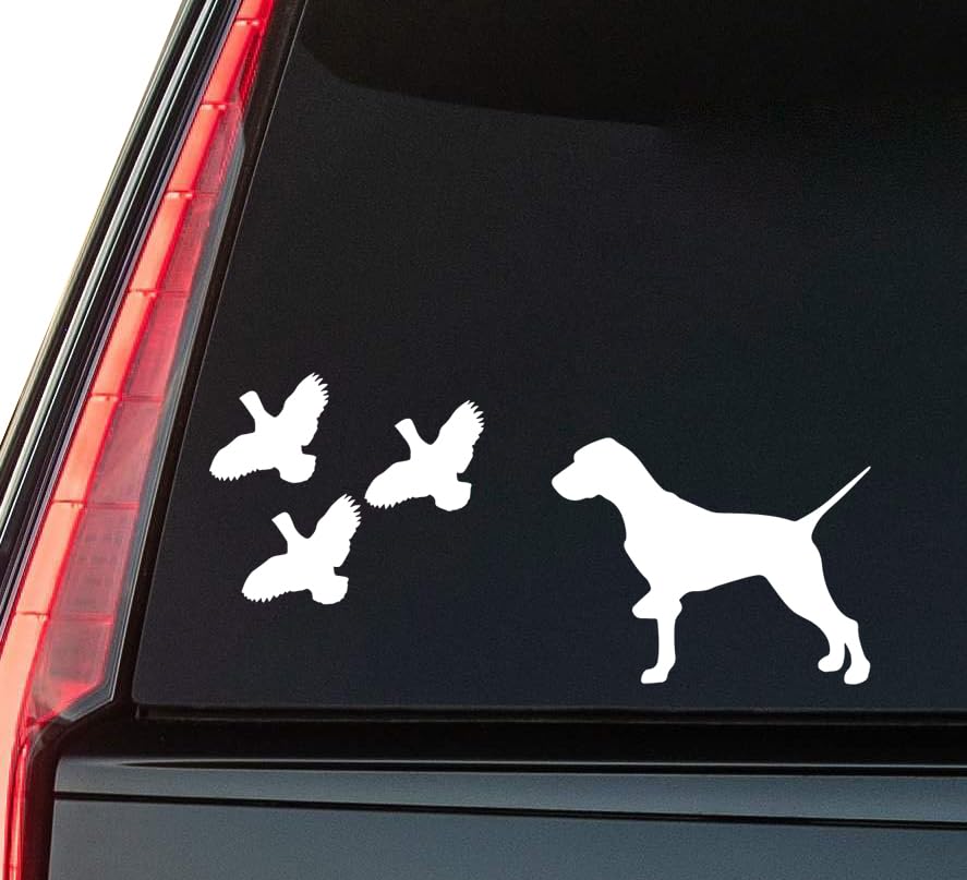 2 (Pieces) 3" and 5" B@st Gift Ever Sticker, Waterproof Vinyl Decals for Many Purpose Like Cars, Tru
